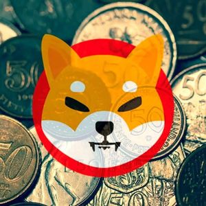 Shiba Inu’s Shibarium Ranks in Top 5 on NOWNodes Network