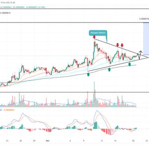 Shiba Inu Price Prediction As Next Leap In Recovery Hints 20% Rise