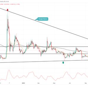Dogecoin Price Prediction: Why $DOGE is at Risk of 25% Fall
