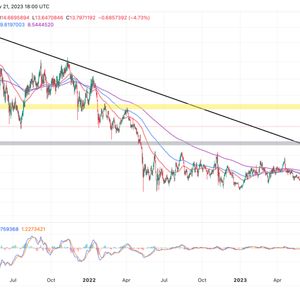 Chainlink Price Prediction: LINK In Danger Of Plunging To $10 But There’s A Twist
