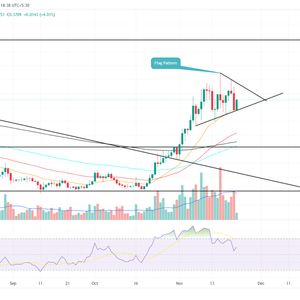 Where Cardano Price is Heading By November End, $0.5 or $0.3?