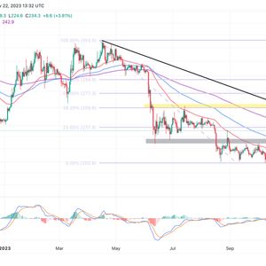 Binance Coin Price Prediction As BNB Nurtures 25% Bullish Move