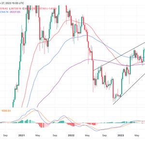 Bitcoin Mid-Term Holders Step Up Signalling Bullish Approach, BTC Going To $50k?