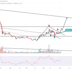 Shiba Inu Price Prediction As Buyers End 3-Week Correction to Chase $0.00001