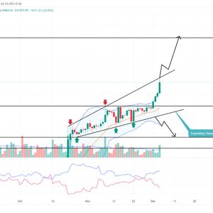 Bitcoin Price Prediction: Will $BTC Recovery Surpass $50000 in December?