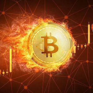 Bitcoin (BTC) Price Today: Rally Halts At $42,000 But Open Interest At Two-Year High
