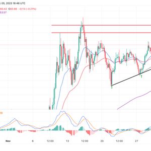 Solana Price Forecast As FTX Cold Wallet Transfers Rock The Market, Should You Be Buying SOL’s Dip?