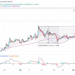 Buying Shiba Inu In December? Here’re The SHIB Price Levels To Watch