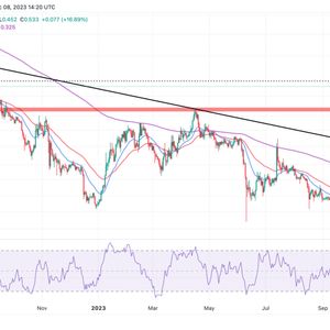 Cardano Price As Pump Setup Triggers, Is ADA Going To $1 In December?