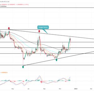 Shiba Inu Price Prediction: Here’s Why $SHIB is at Risk of 22% Drop
