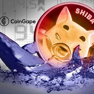 Shiba Inu Whale Shifts 4 Tln SHIB As Price Dips, What’s Next?