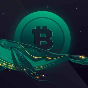 Bitcoin Whale Accumulation Rises Ahead Of US CPI Data
