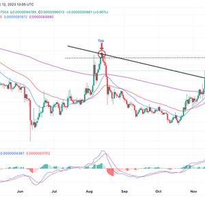 Top Reasons Why You Should Buy Bitcoin (BTC), Shiba Inu (SHIB) In December