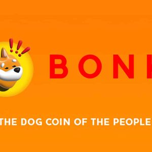 Why Is Bonk Price Up Today?