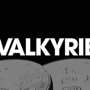 Just In: Valkyrie Files Fourth Amendment for Bitcoin ETF Launch