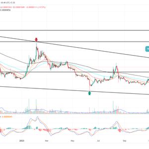 Shiba Inu Price at 16-Month Resistance Faces 20% Downside Risk, But There’s a Catch