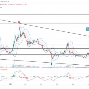 Shiba Inu Price Prediction: Should you Enter $SHIB at $0.00001 Dip?