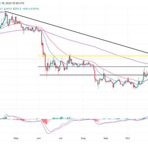 Binance Coin Price Prediction: $250 Support Secured, Can BNB Conquer a 20% Climb?