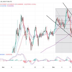 Chainlink Price Prediction: Can LINK Bounce Back or Brace for Deeper Descent?
