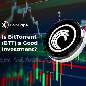 Is BitTorrent (BTT) a Good Investment For 2024 ?