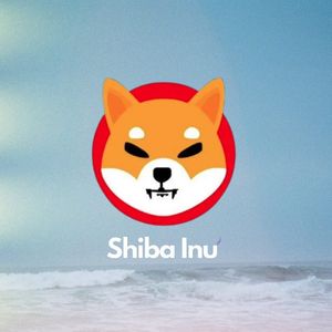 Shibarium Gets New Polygon-Backed Rival – ShibChain