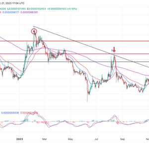 Shiba Inu Price Prediction: Can $0.00001 Support Thrust SHIB To $0.00002?