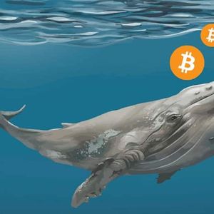 Bitcoin (BTC) Whales on Unusual Selling Spree, Is a Correction Imminent?