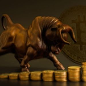 Historical Trends Suggest Bitcoin Bull Cycle Will Continue Until This Year