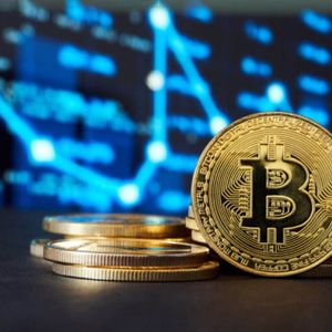 Crypto Market Set for Growth, WazirX VP Forecasts Bullish 2024