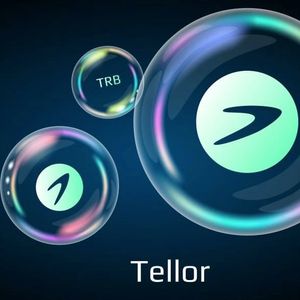Massive Pump and Dump Happens in Tellor (TRB) Price, Over $60 Million Liquidated