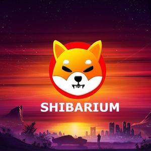Shibarium Transaction Count Derails, What is Happening?