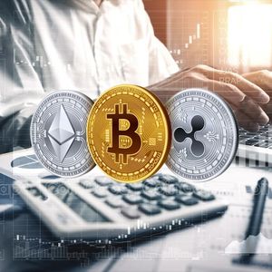 Best Crypto Accounting Platforms 2024