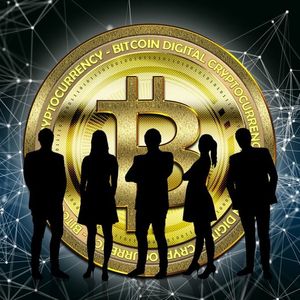 Bitcoin Long-Term Holders Stand Strong Despite Recent Crypto Market Selloff