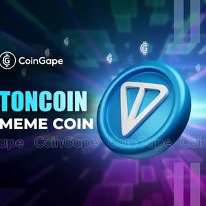 3 TON Meme Coins Now For July