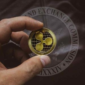 XRP News: Whales Add 468 Mln XRP As Amicus Briefs Back Ripple Against SEC