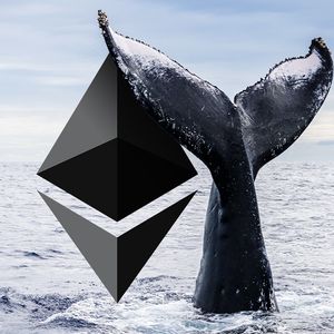 Ethereum Whales Buys The Dip, Adds ETH Worth Over $1 Billion