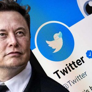 Why Elon Musk Is Asking Twitter Users For Help?