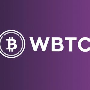 What is Wrapped Bitcoin (wBTC)? Are Wrapped Tokens Under Threat After FTX Crash?