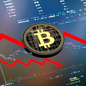 Bitcoin Price Today 28 Nov: BTC Dominance On A Decline; Price Drops By 2%