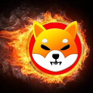 Shiba Inu Coin News: SHIB Burn Rate Skyrockets Over 250% In Past 24 Hours
