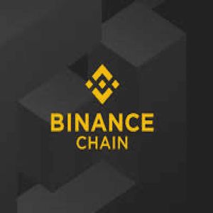Binance Coin Price Prediction: Here’s Why BNB May Drop Another 20%