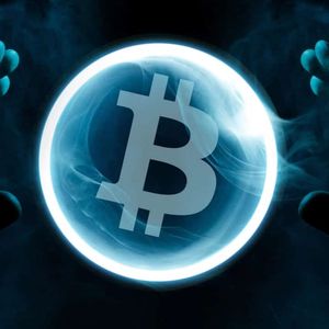 Bitcoin (BTC) Whale Trade Activity In A Key Turn; Is It Bullish Or Bearish?