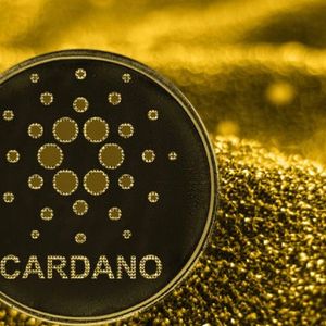 Cardano Sharks In Strong Accumulation, Will ADA Price Rally?