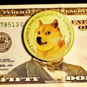 Dogecoin (DOGE) Price To Fall Further With Tesla Stock Slump?