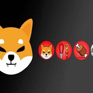 Shiba Inu Ecosystem Drops Another Hint About Shibarium Beta Launch