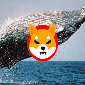 Shiba Inu Coin: Ethereum Whales Scoop SHIB Tokens Ahead Of Shibarium Launch
