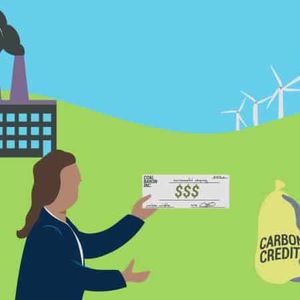 Top 6 Carbon Credit Exchange for 2023