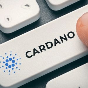 Cardano Defies Broader Market Correction With ADA Whale Accumulation