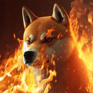 Dogecoin-Killer BONK Crashes 40%, But Is A Revival Plan In Place?