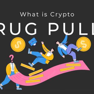 What is crypto rug pull? Its Meaning and How to Avoid Rug Pulls